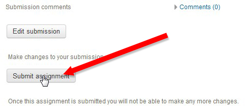 Click "Submit assignment"